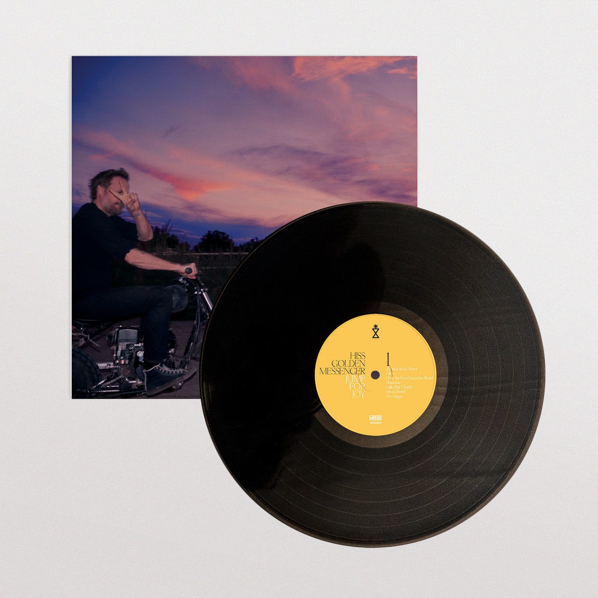 Jump For Joy: Vinyl LP - Image 3