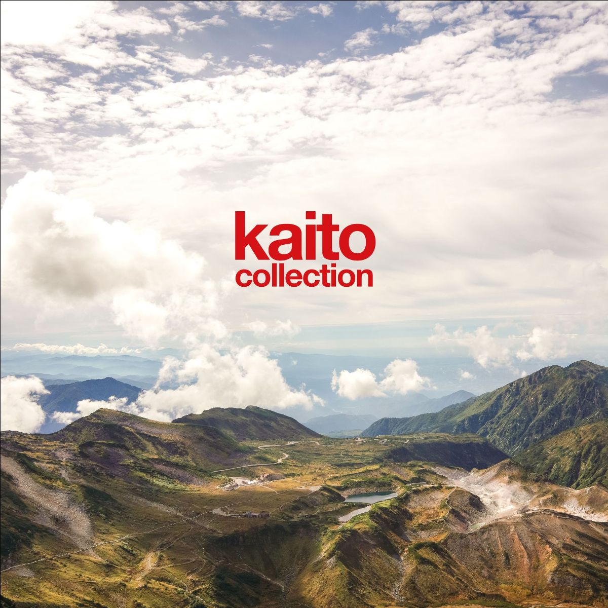 Collection: Opaque Red Vinyl LP - Image 2