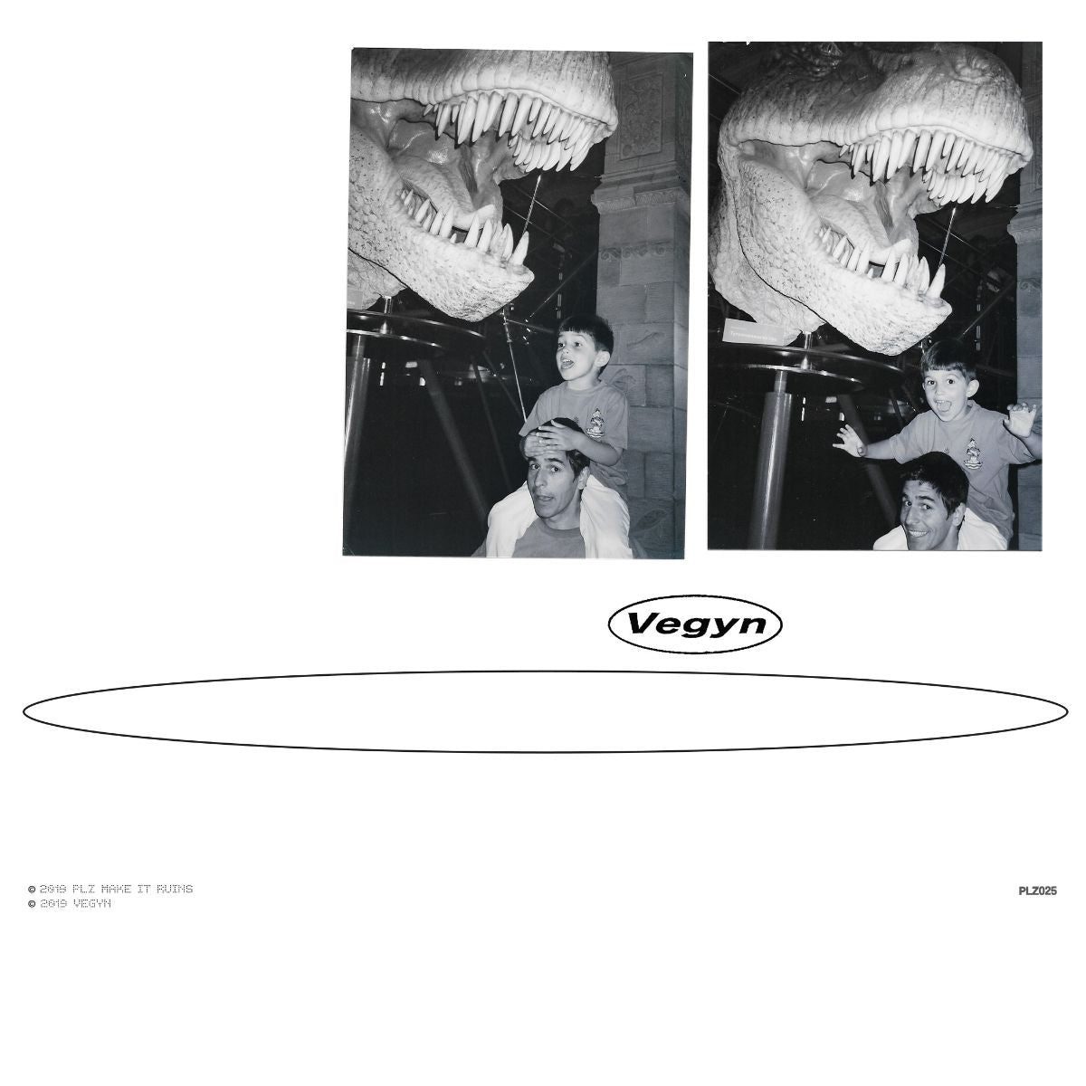 Only Diamonds Cut Diamonds (5 Year Anniversary Repress): Vinyl 2LP - Image 3