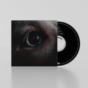 The Dark Side of the Moon Redux: CD