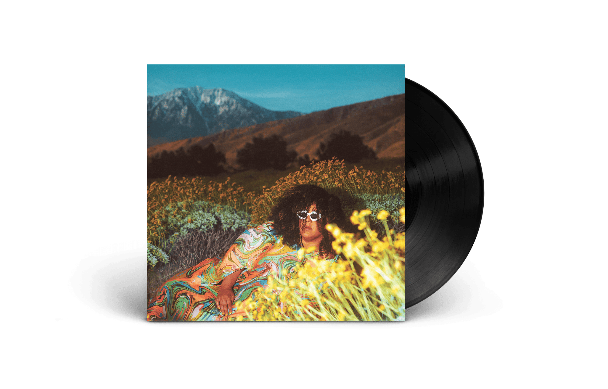 What Now: Vinyl LP