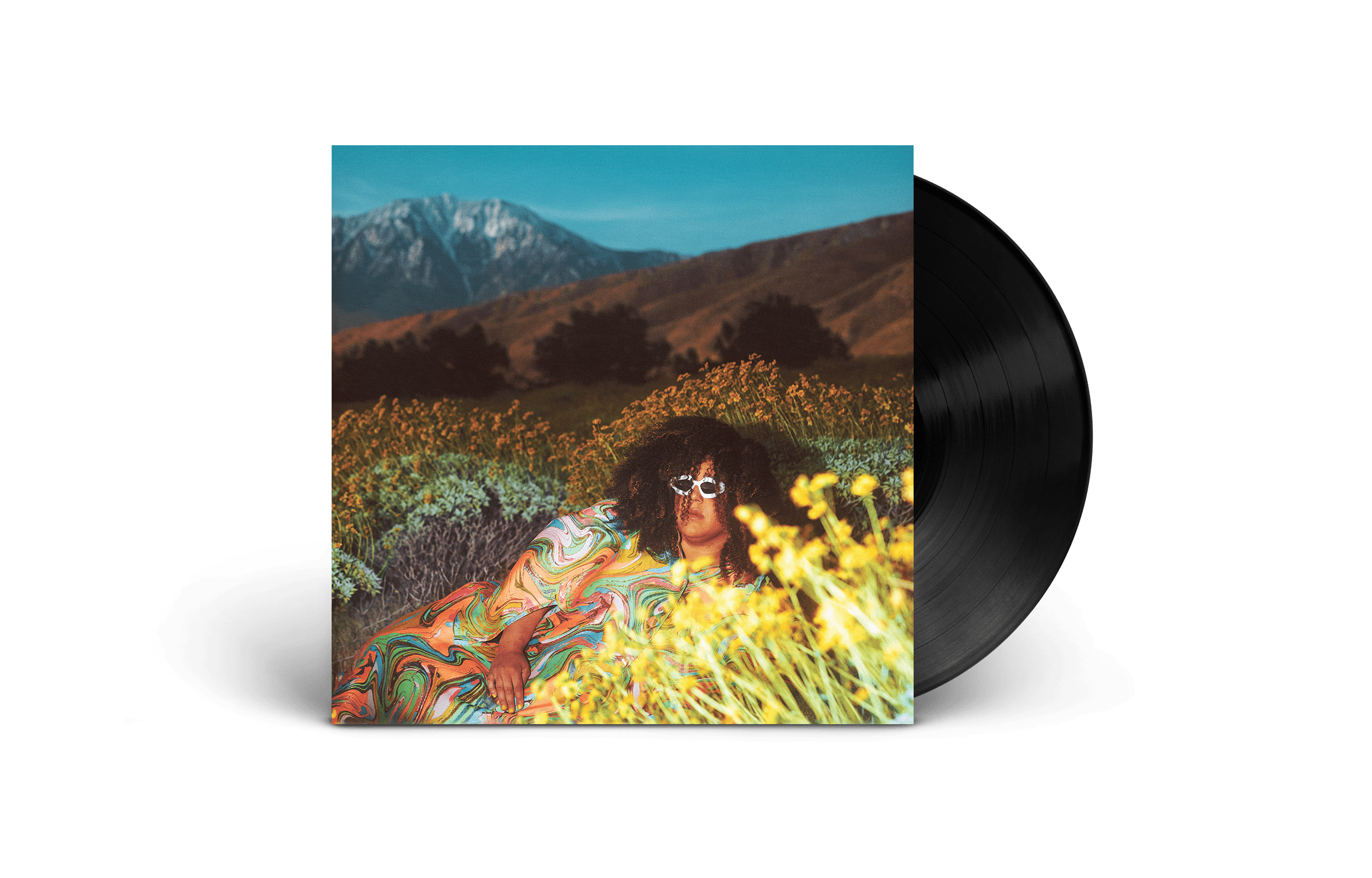 What Now: Vinyl LP
