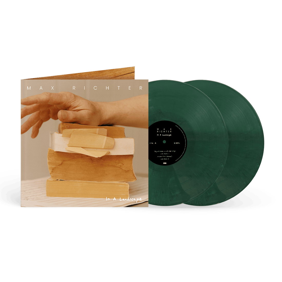 In A Landscape (exclusive) 2LP