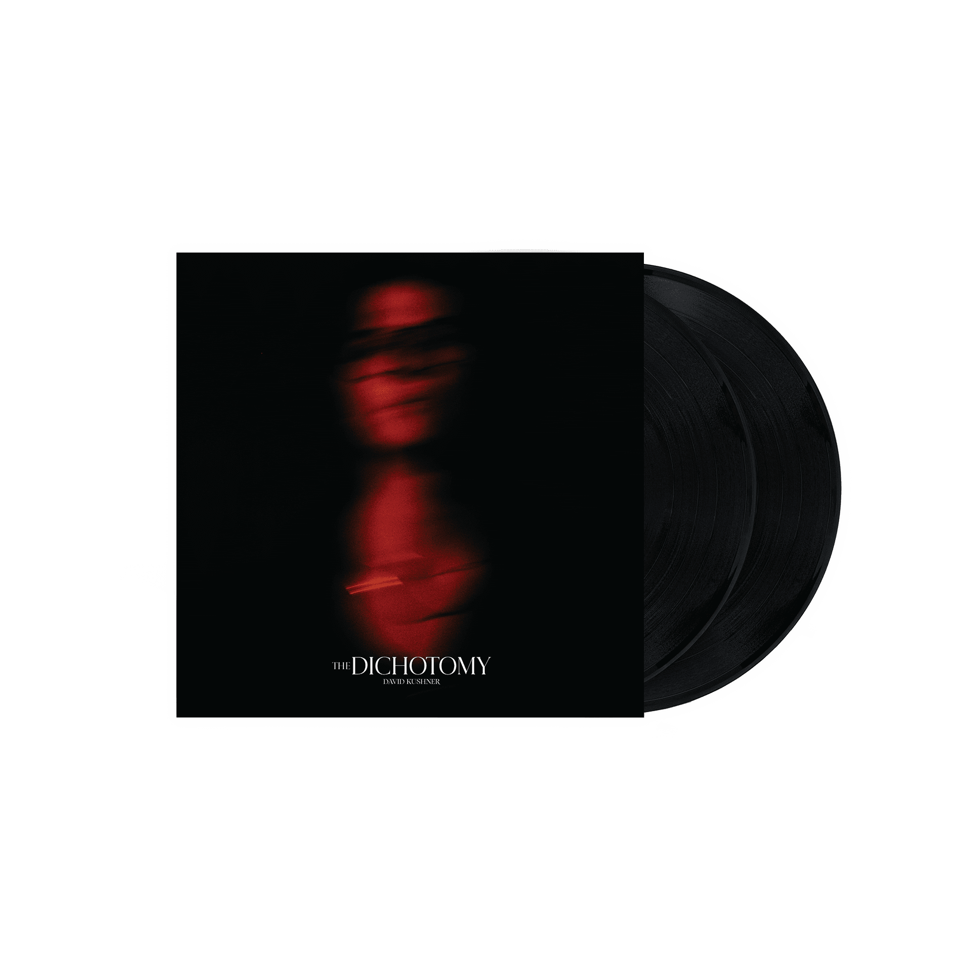 The Dichotomy: Vinyl 2LP