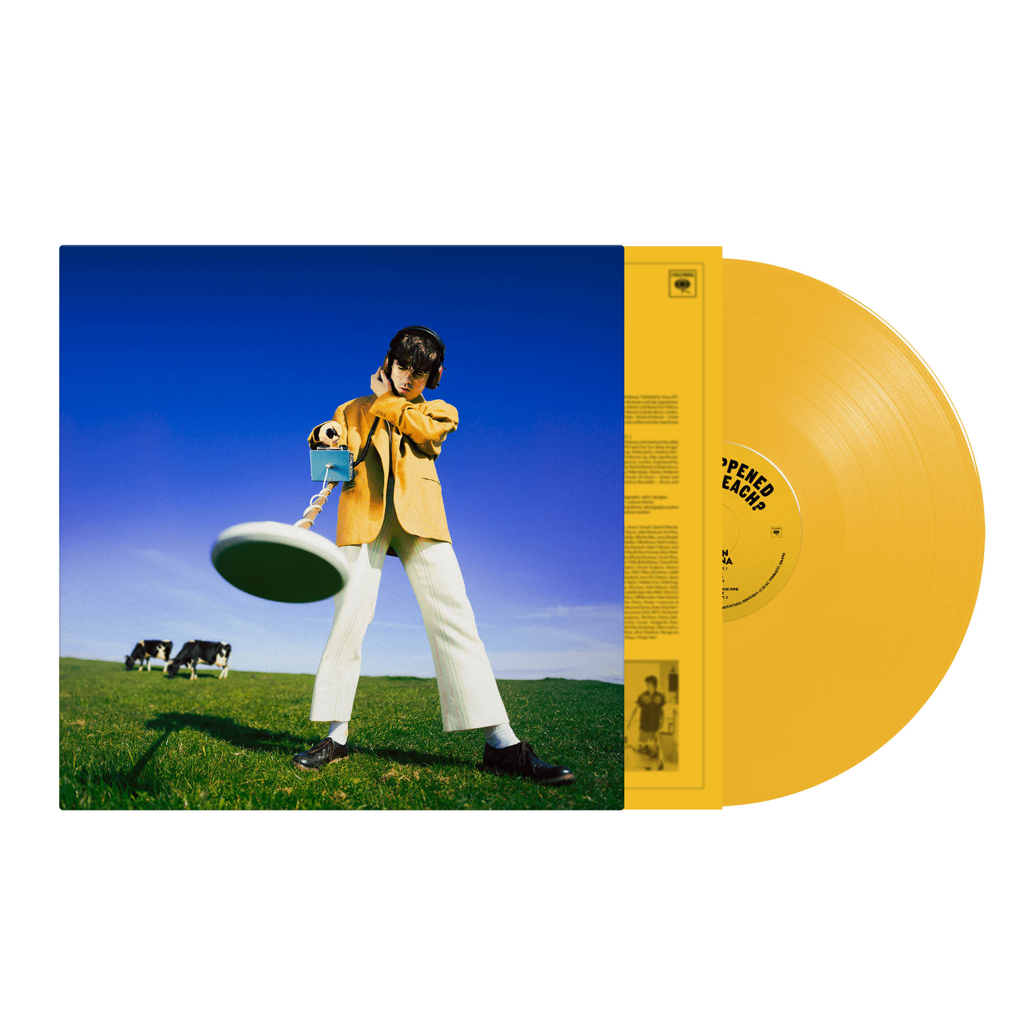 What Happened to the Beach? Limited Sun Yellow Vinyl LP