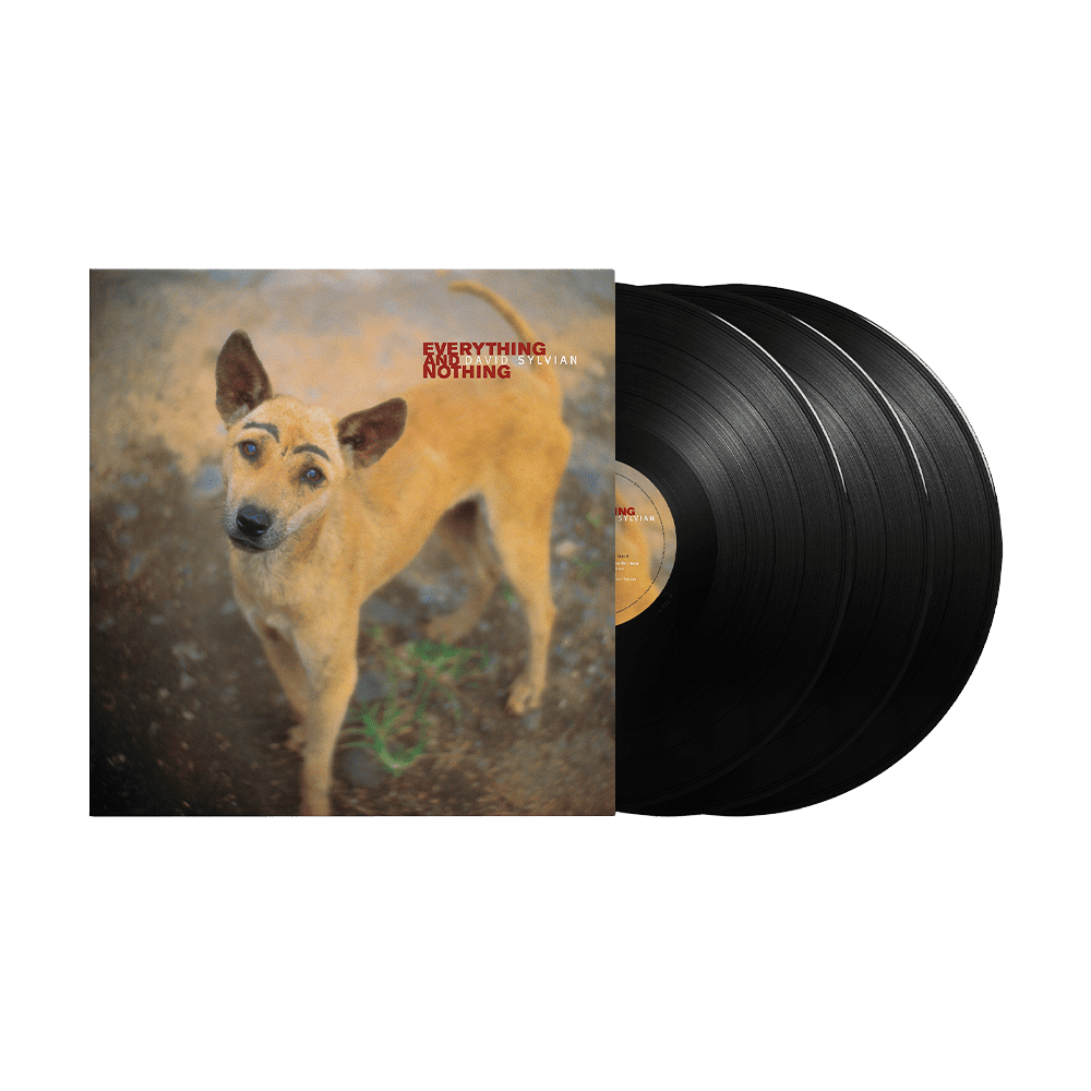 Everything And Nothing: Vinyl 3LP - Image 2