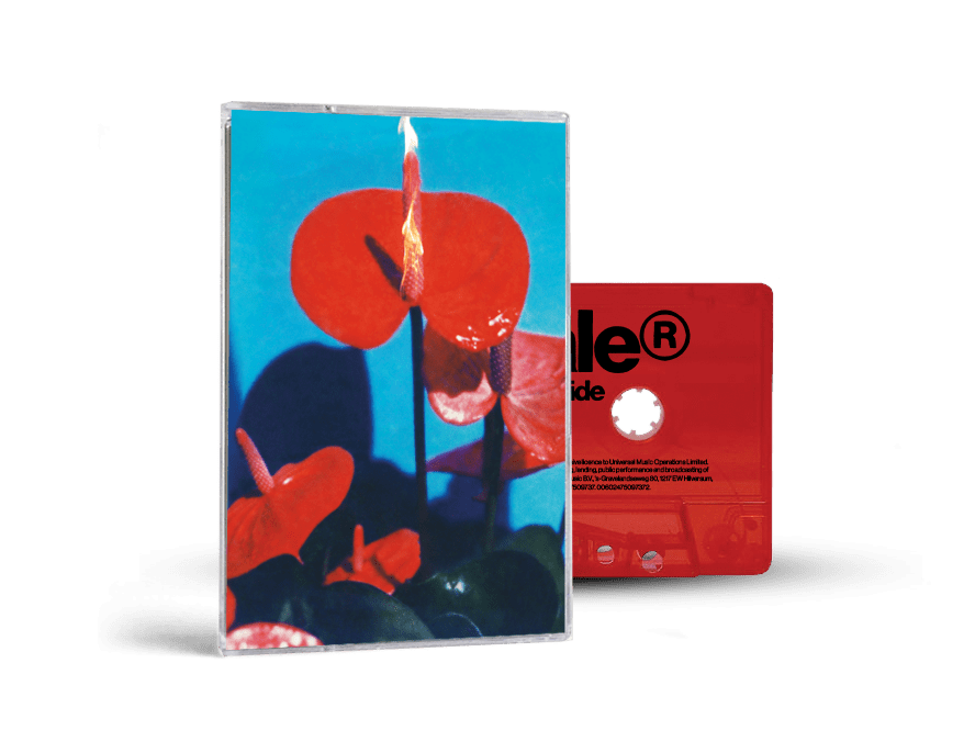 Open Wide: CD, Cassette + Signed Art Card - Image 2