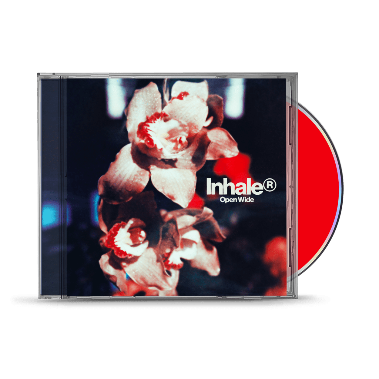Open Wide: CD, Cassette + Signed Art Card - Image 3