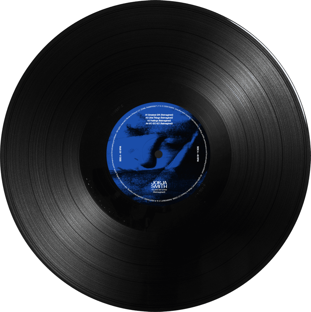 falling or flying (Reimagined): Vinyl LP - Image 3