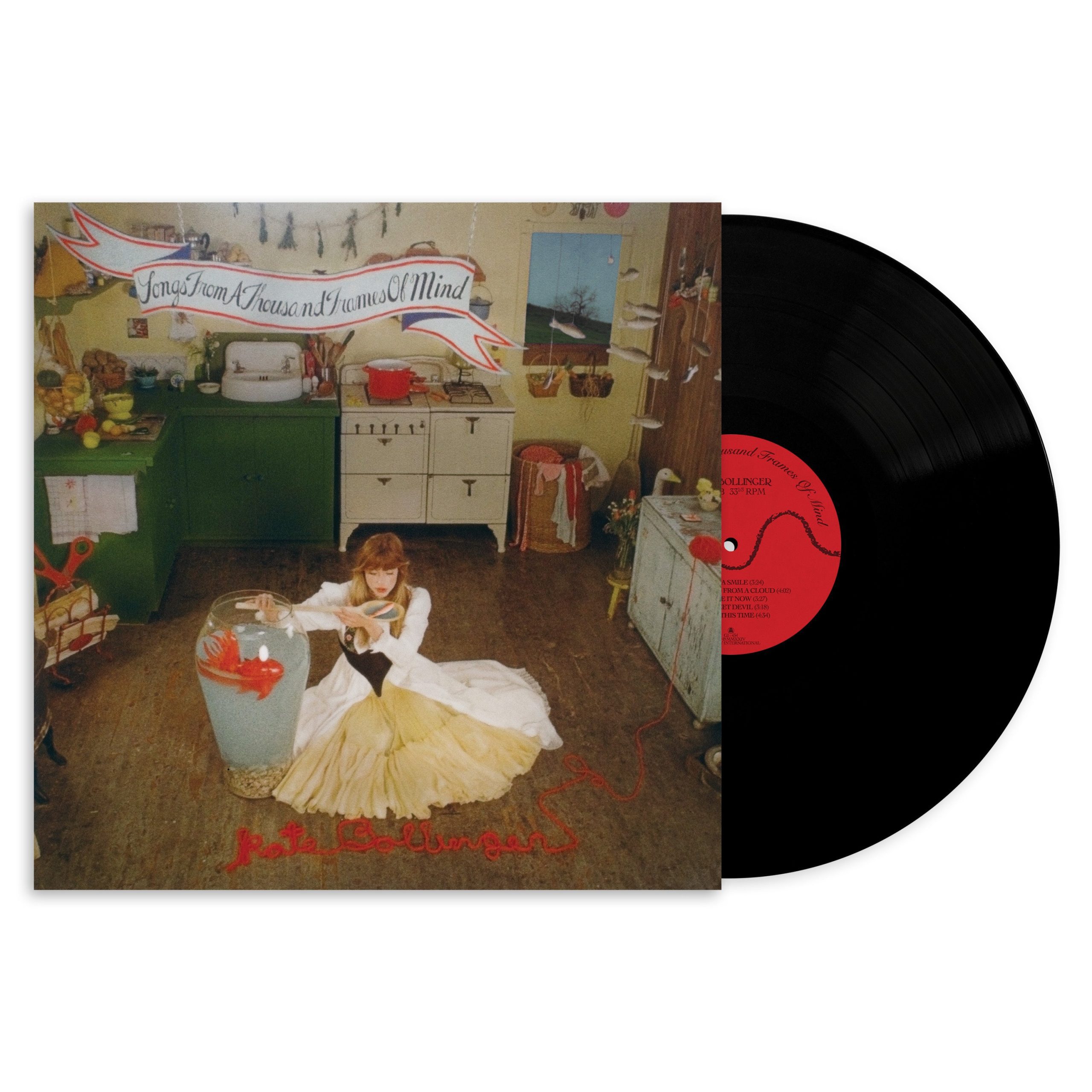 Songs From A Thousand Frames Of Mind: Vinyl LP