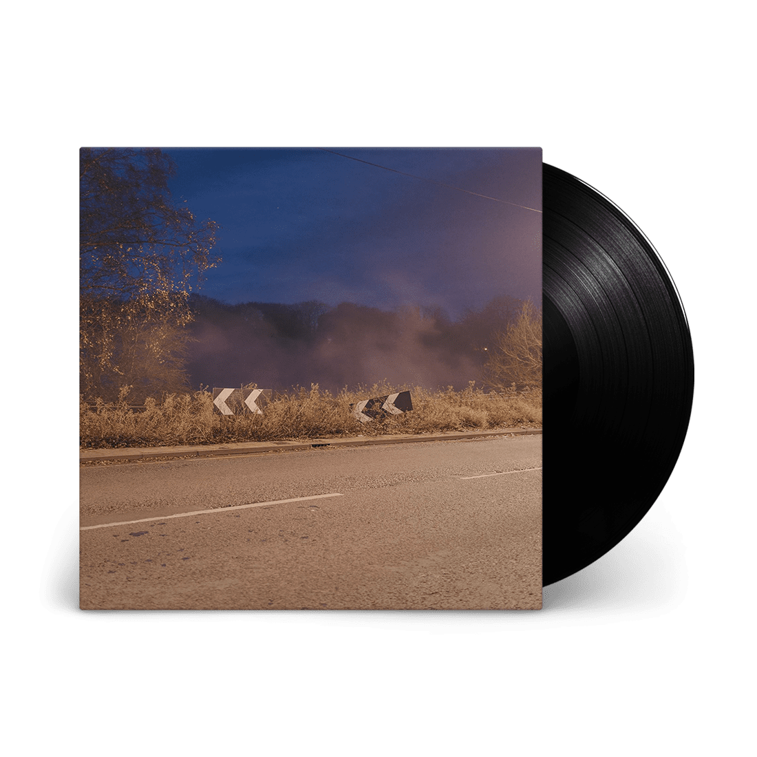 Models: Vinyl LP