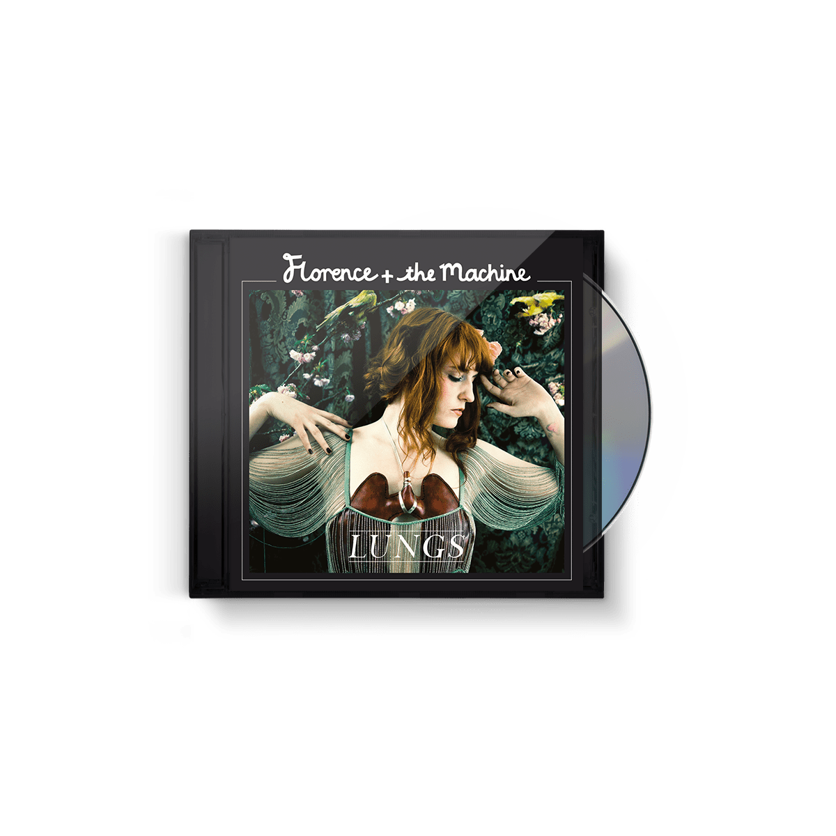 Lungs: CD