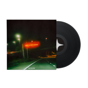 and i'd do it again - Vinyl