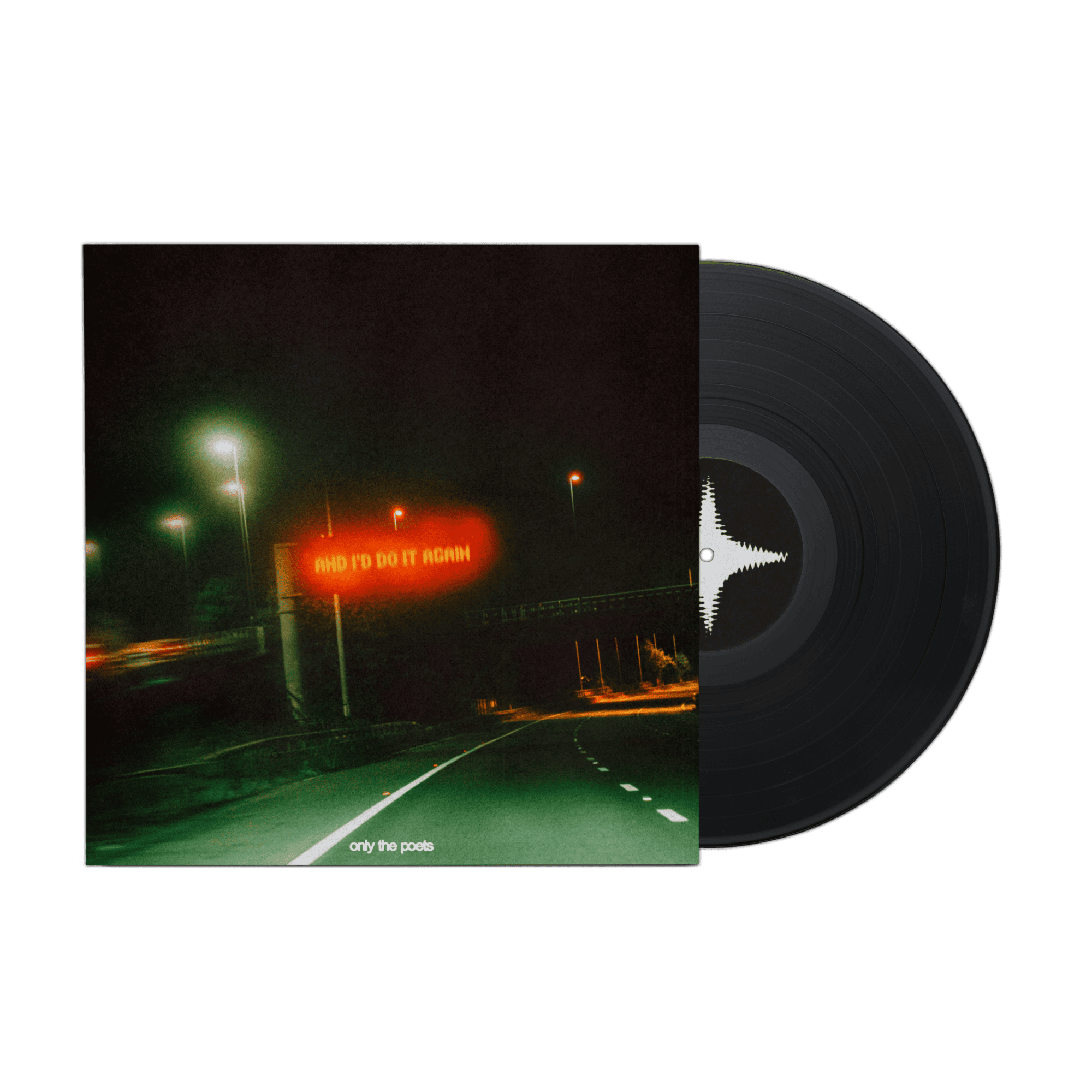 and i'd do it again - Vinyl