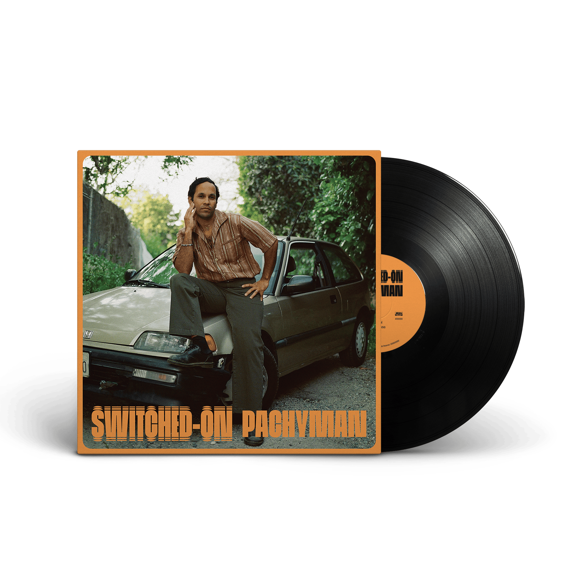 Switched-On: Vinyl LP
