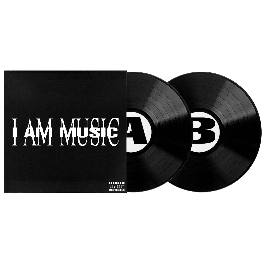 MUSIC: Vinyl 2LP