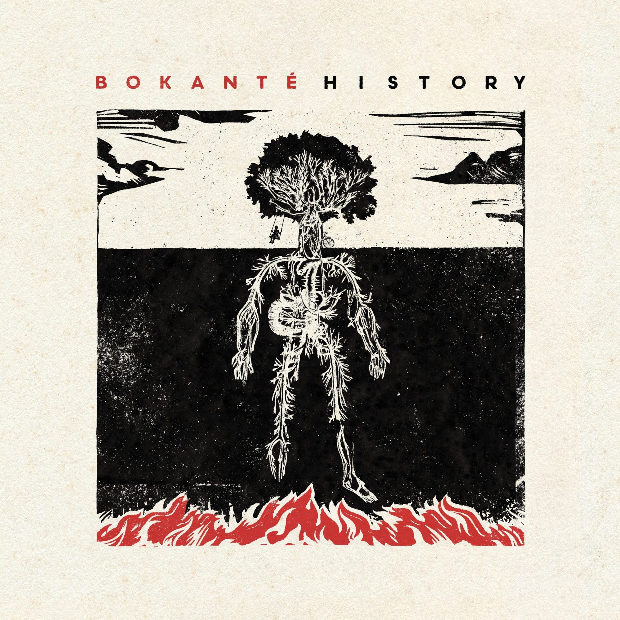 History: Vinyl LP