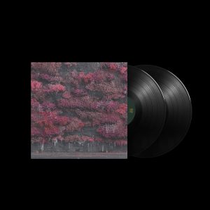 Even In Arcadia: Limited Opaque Black 2LP