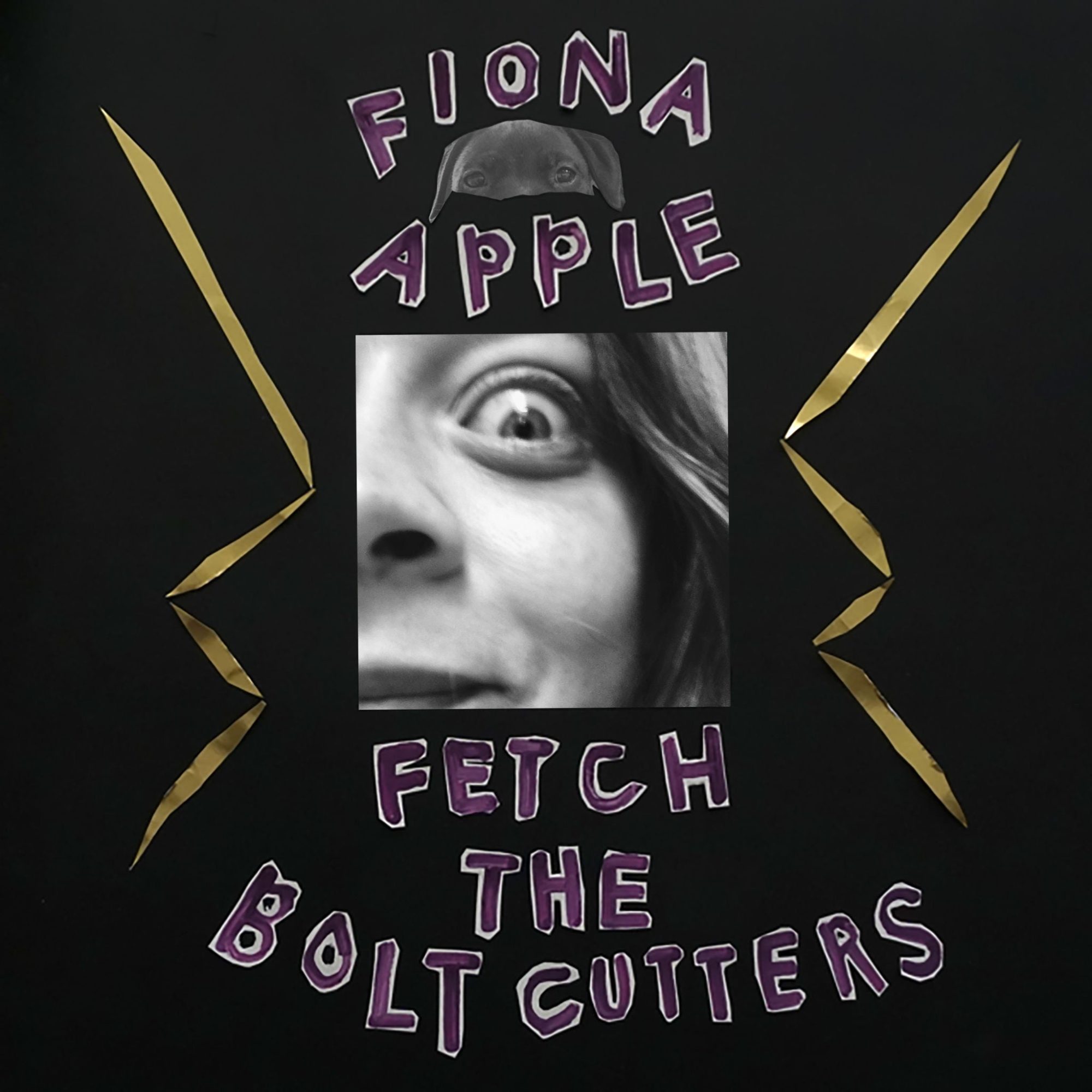 Fetch The Bolt Cutters: CD