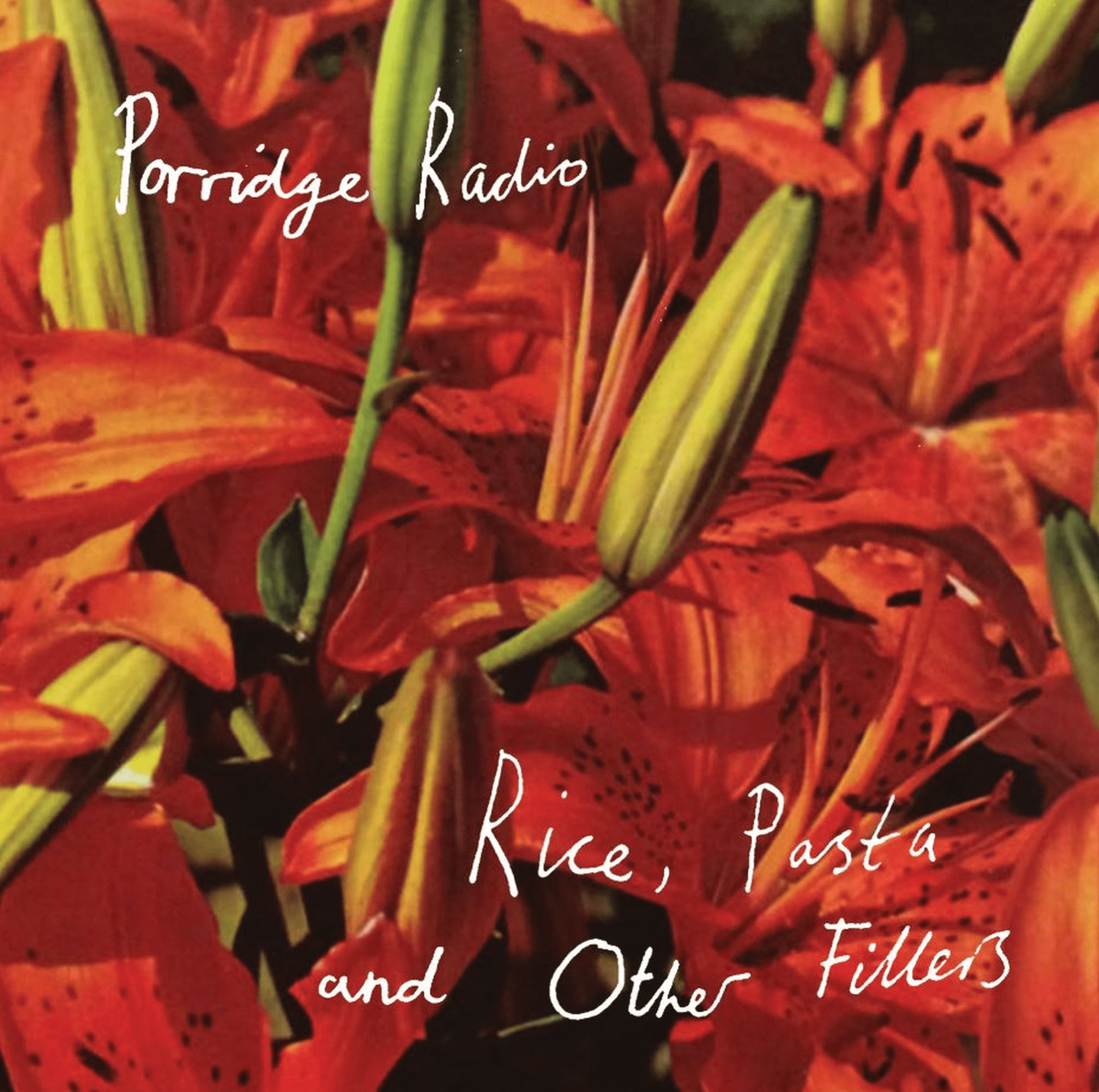 Rice, Pasta and Other Fillers Memorials of Distinction: Vinyl LP