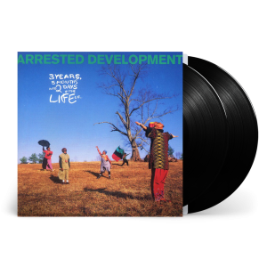 3 Years 5 Months 2 Days In The Life Of... Vinyl 2LP