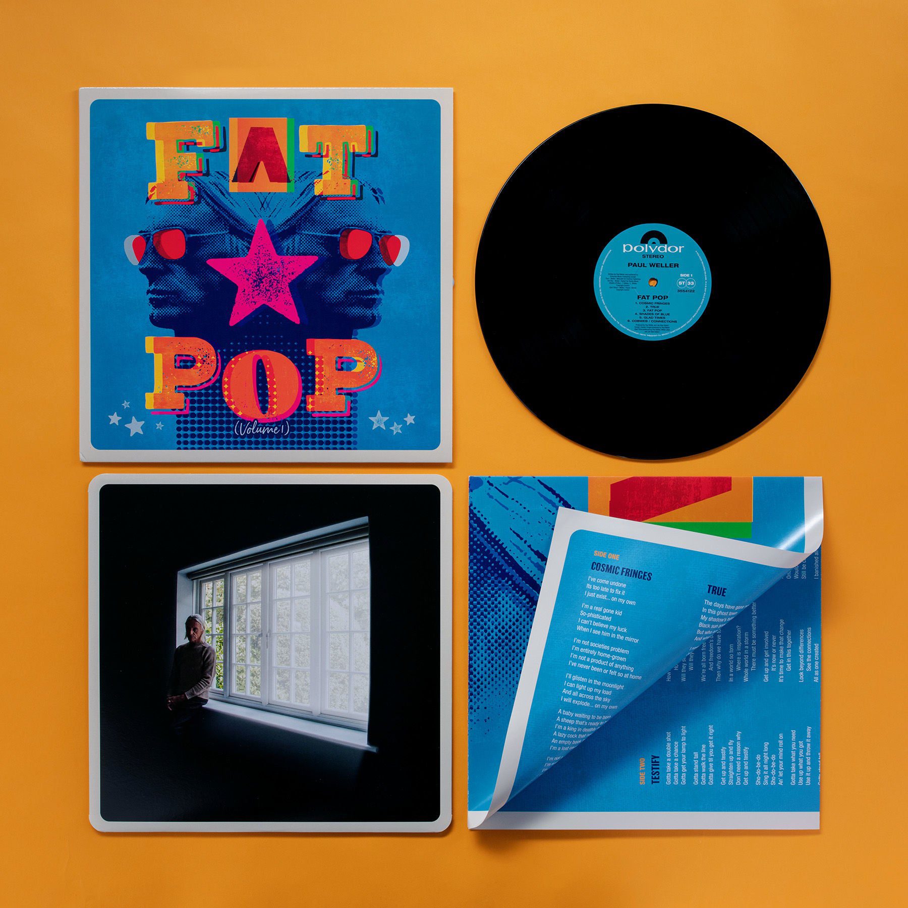 Fat Pop: Vinyl LP - Image 2
