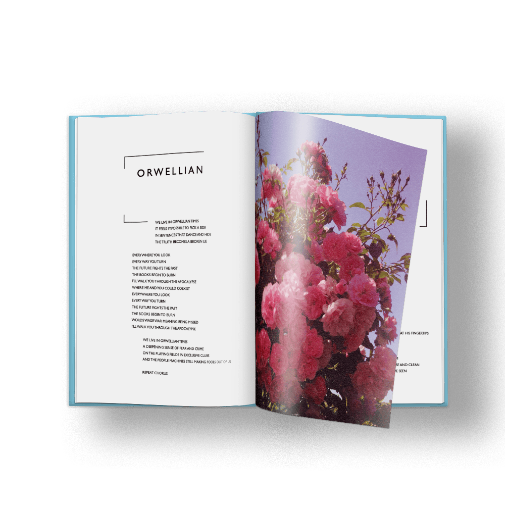 The Ultra Vivid Lament: Deluxe CD - Image 3