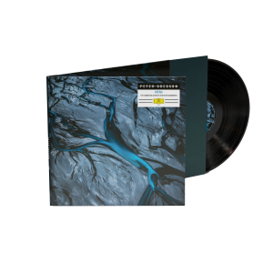 Patina: Vinyl LP
