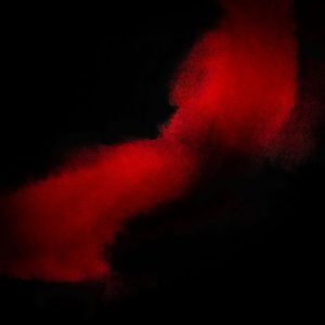 Dancing Into Oblivion: CD