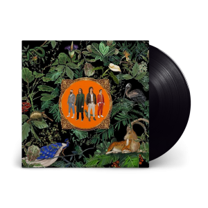 Amazing Things: Vinyl LP