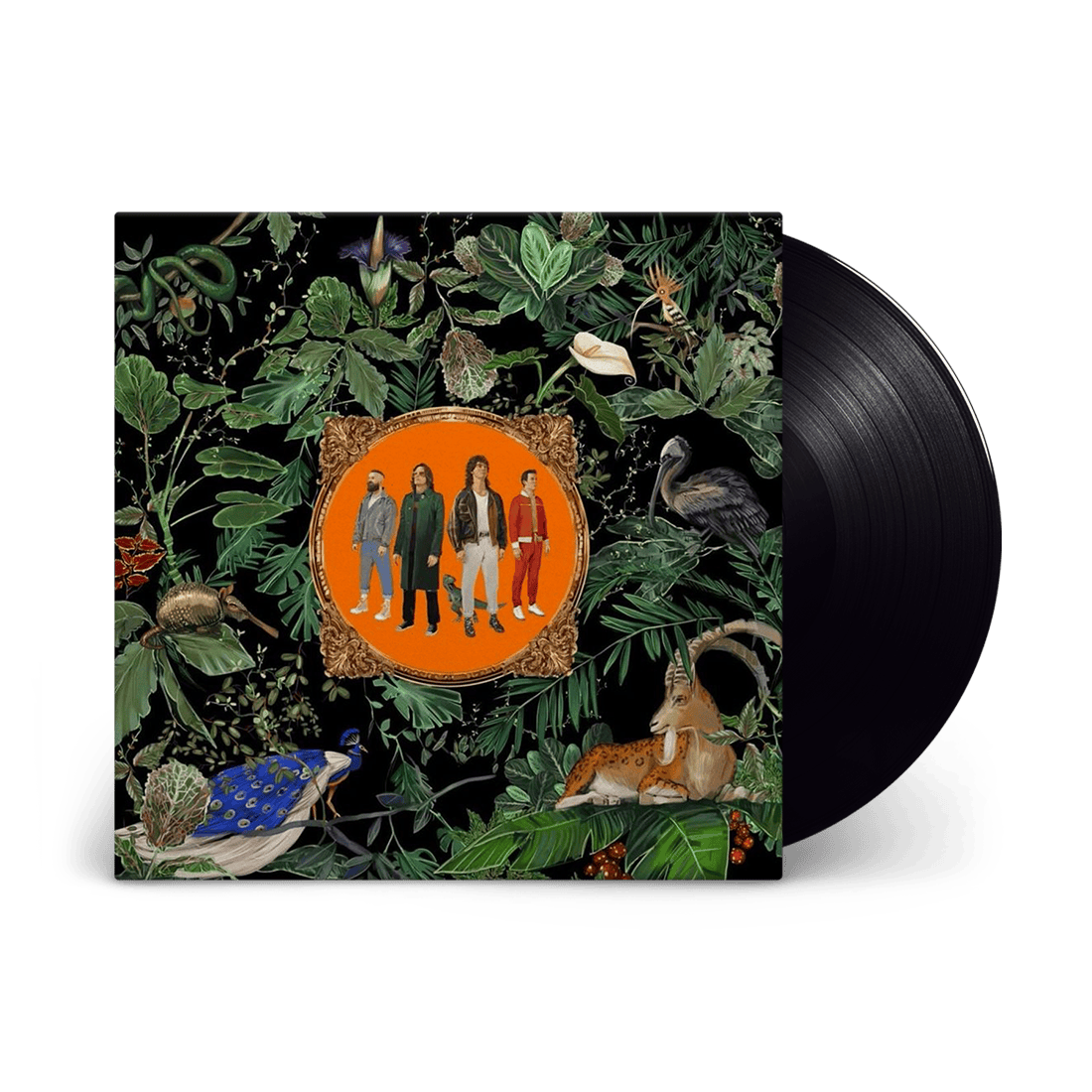 Amazing Things: Vinyl LP