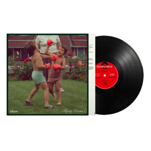 Flying Dream 1: Vinyl LP