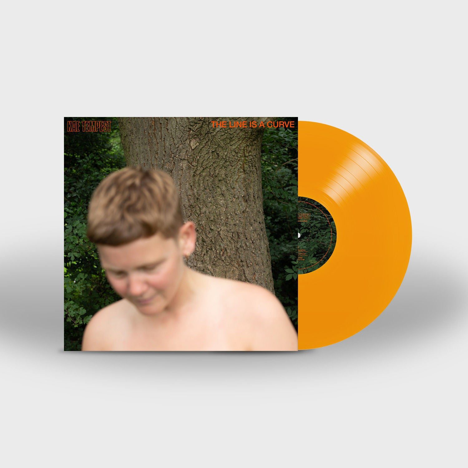 The Line Is A Curve: Limited Edition Orange Vinyl LP + Exclusive Signed Print - Image 2