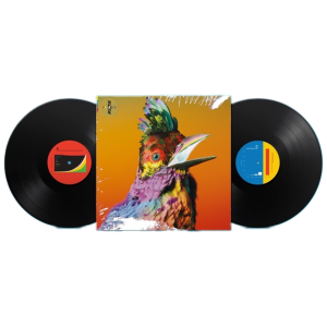 Palaces: Vinyl 2LP