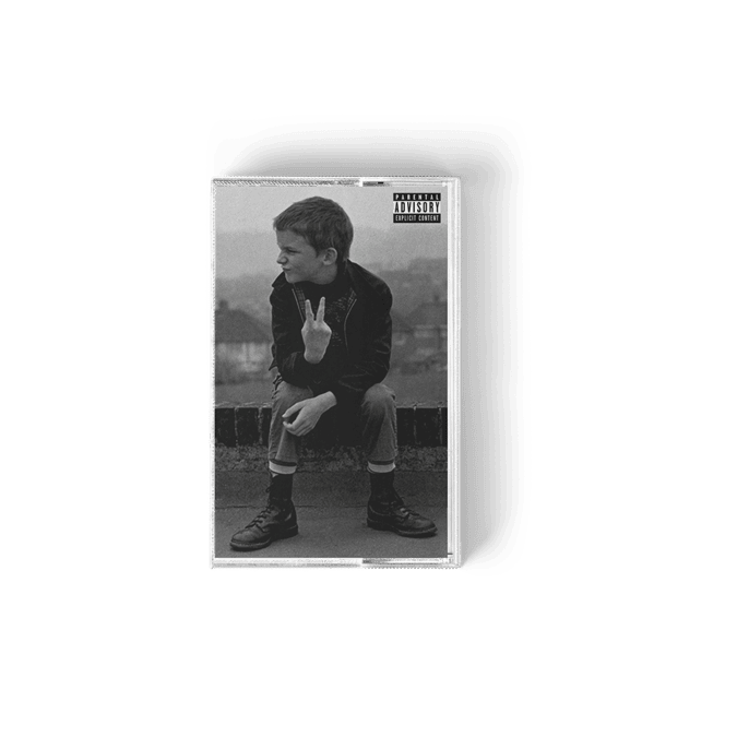 Vandals: Cassette