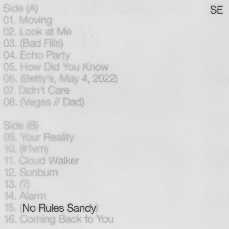 No Rules Sandy: Limited Edition Leaf Green Vinyl LP + Exclusive Signed Print - Image 2
