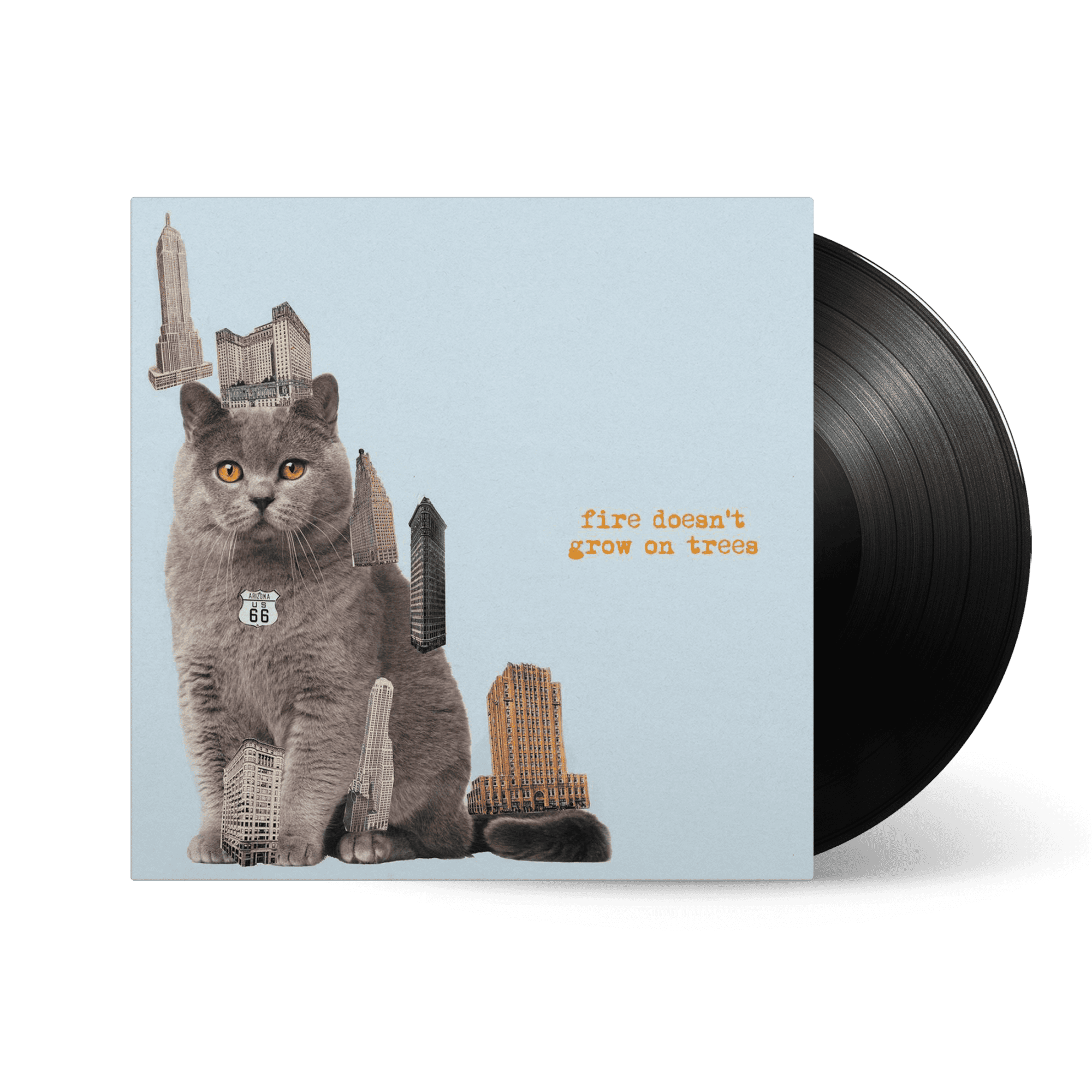 Fire Doesn’t Grow On Trees: Vinyl LP