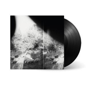 Asunder, Sweet And Other Distress: Vinyl LP
