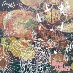 Bang Flower: CD