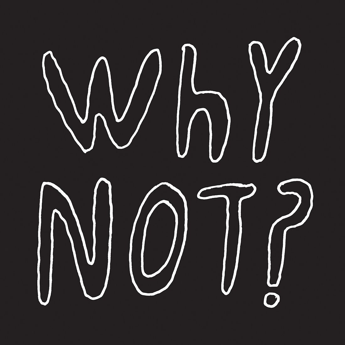 Why Not?: Vinyl LP