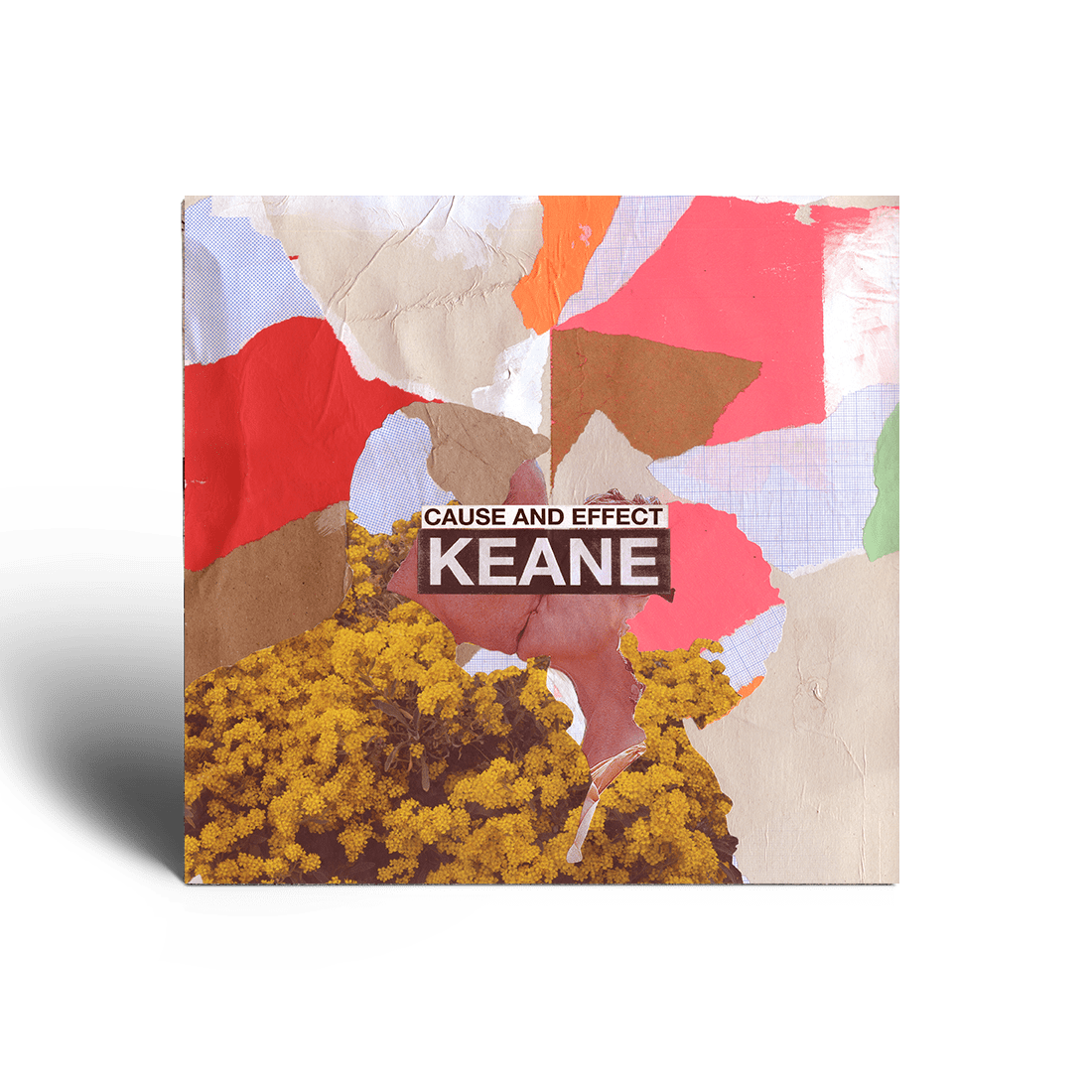 Cause and Effect: Deluxe CD