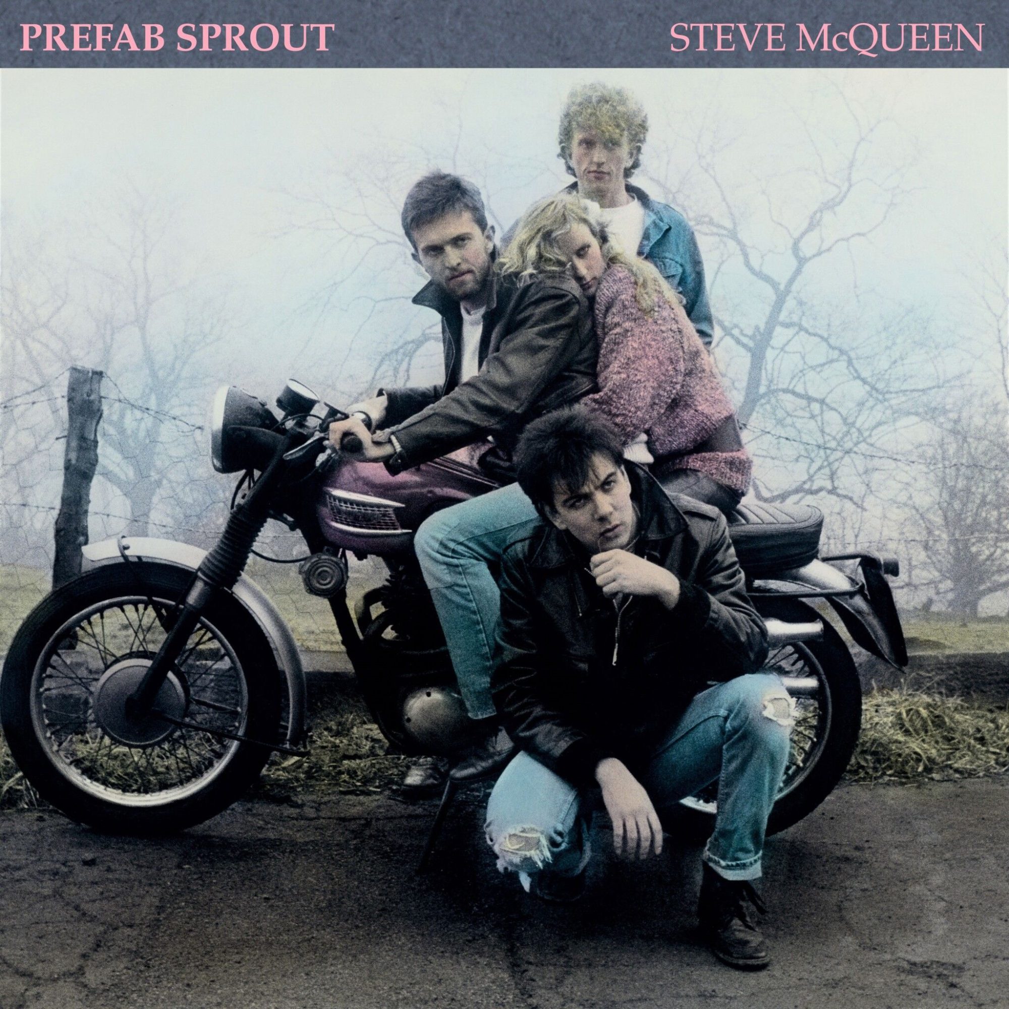 Steve McQueen (2019 Remastered Edition): Vinyl LP