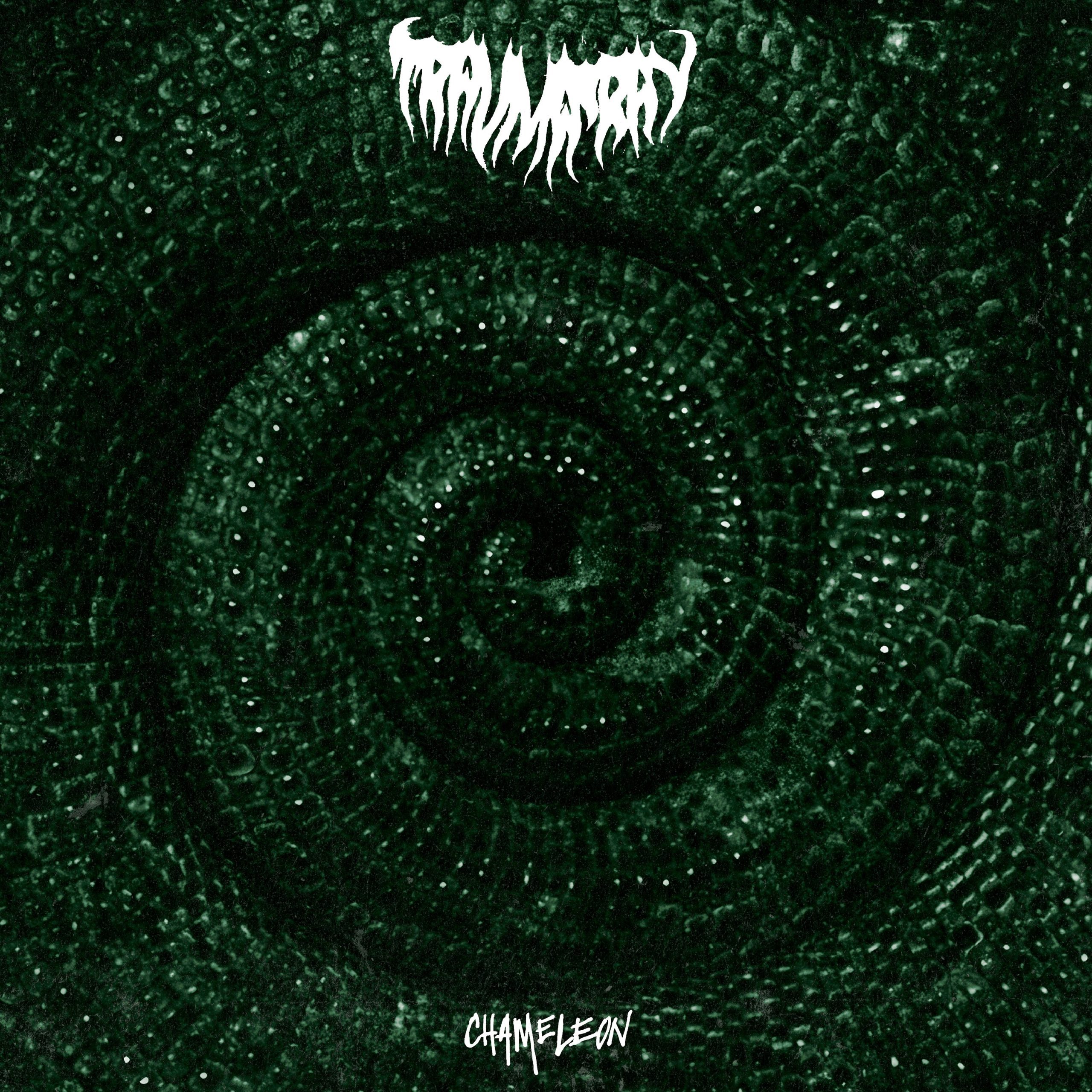 Chameleon: Limited Mint Green Vinyl LP - Image 2