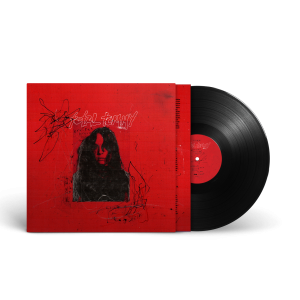 bruises: Vinyl LP
