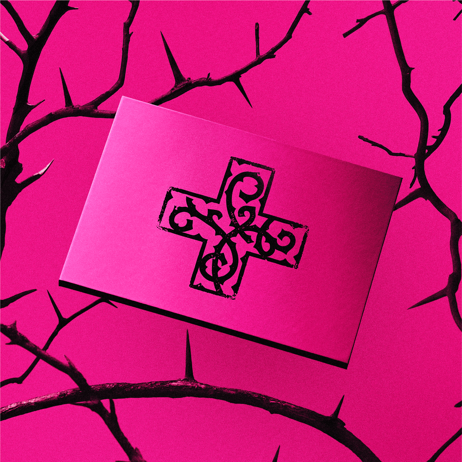 7TH YEAR: A Moment of Stillness in the Thorns (Pink): CD Album