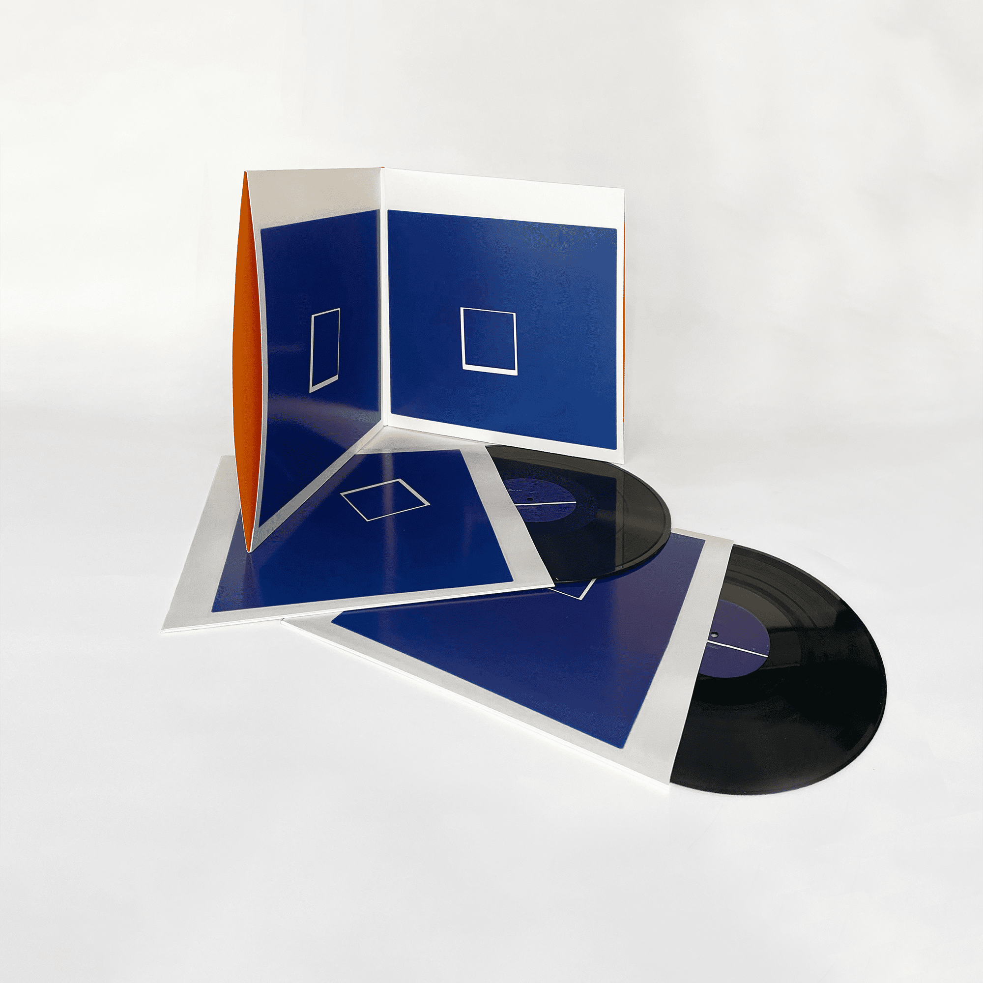 Beaucoup Fish: Vinyl 2LP - Image 2