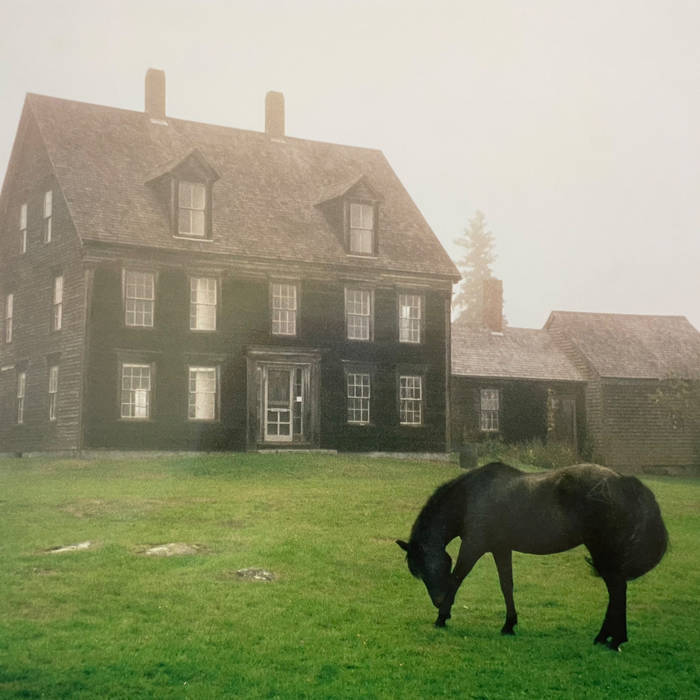 The Academy: Meadow Green Vinyl LP - Image 3