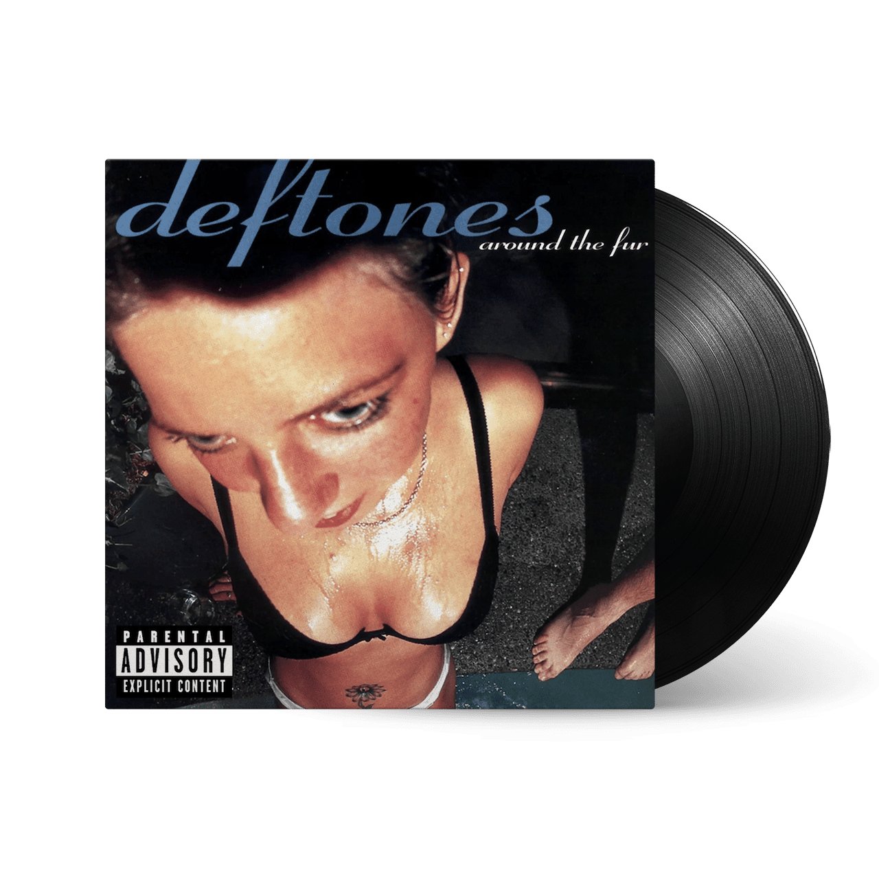 Around the Fur: Vinyl LP