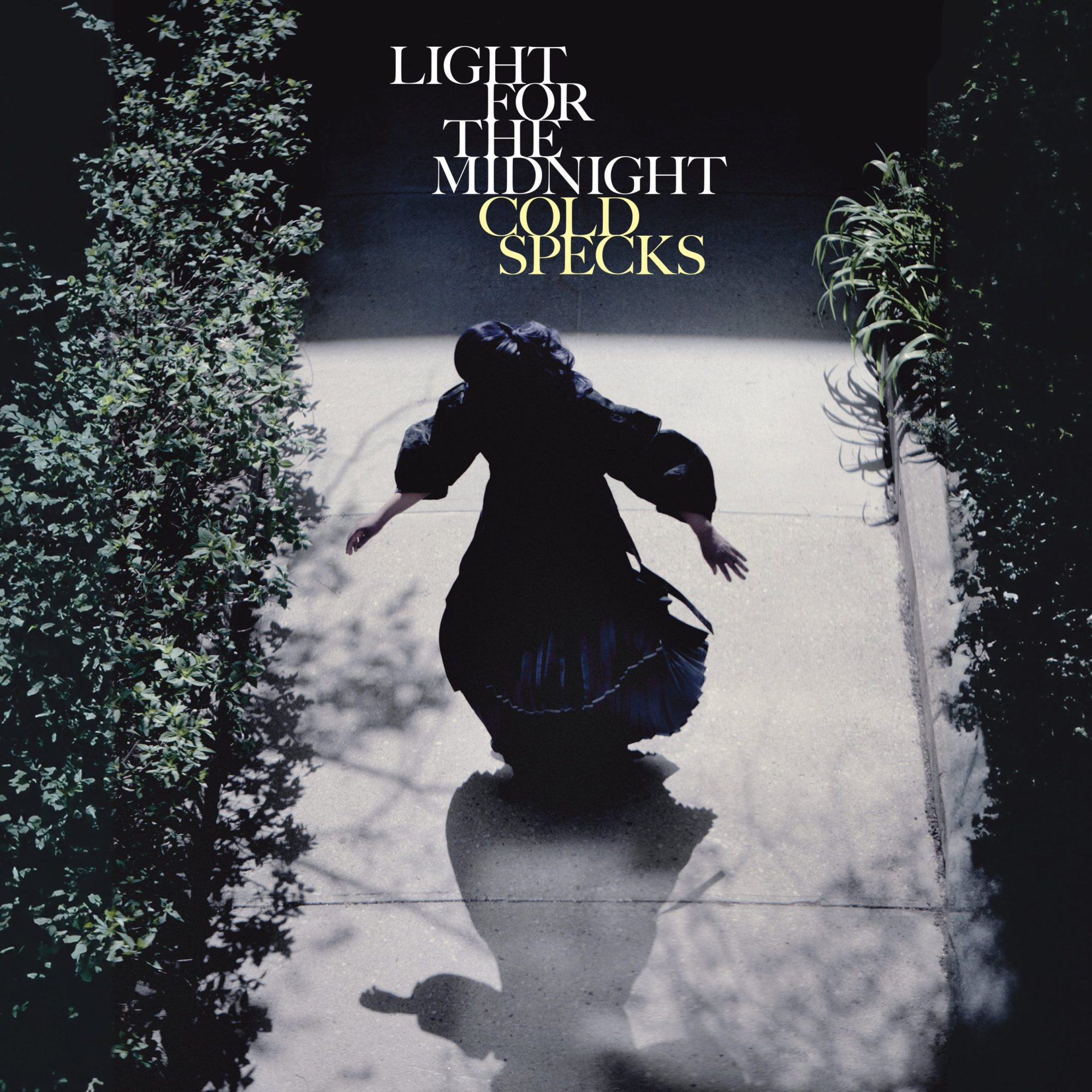 Light for the Midnight: Vinyl LP