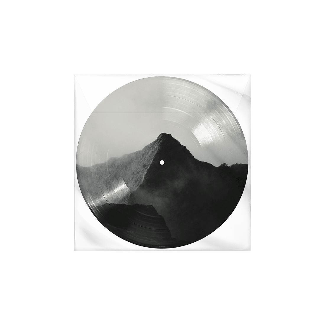 Shawn Picture Disc - Image 2